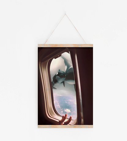 orcas